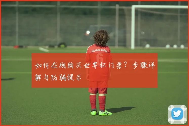 如何在线购买世界杯门票？步骤详解与防骗提示