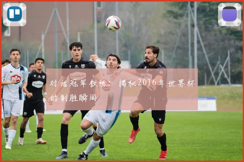 对话冠军教练：揭秘2016年世界杯的制胜瞬间
